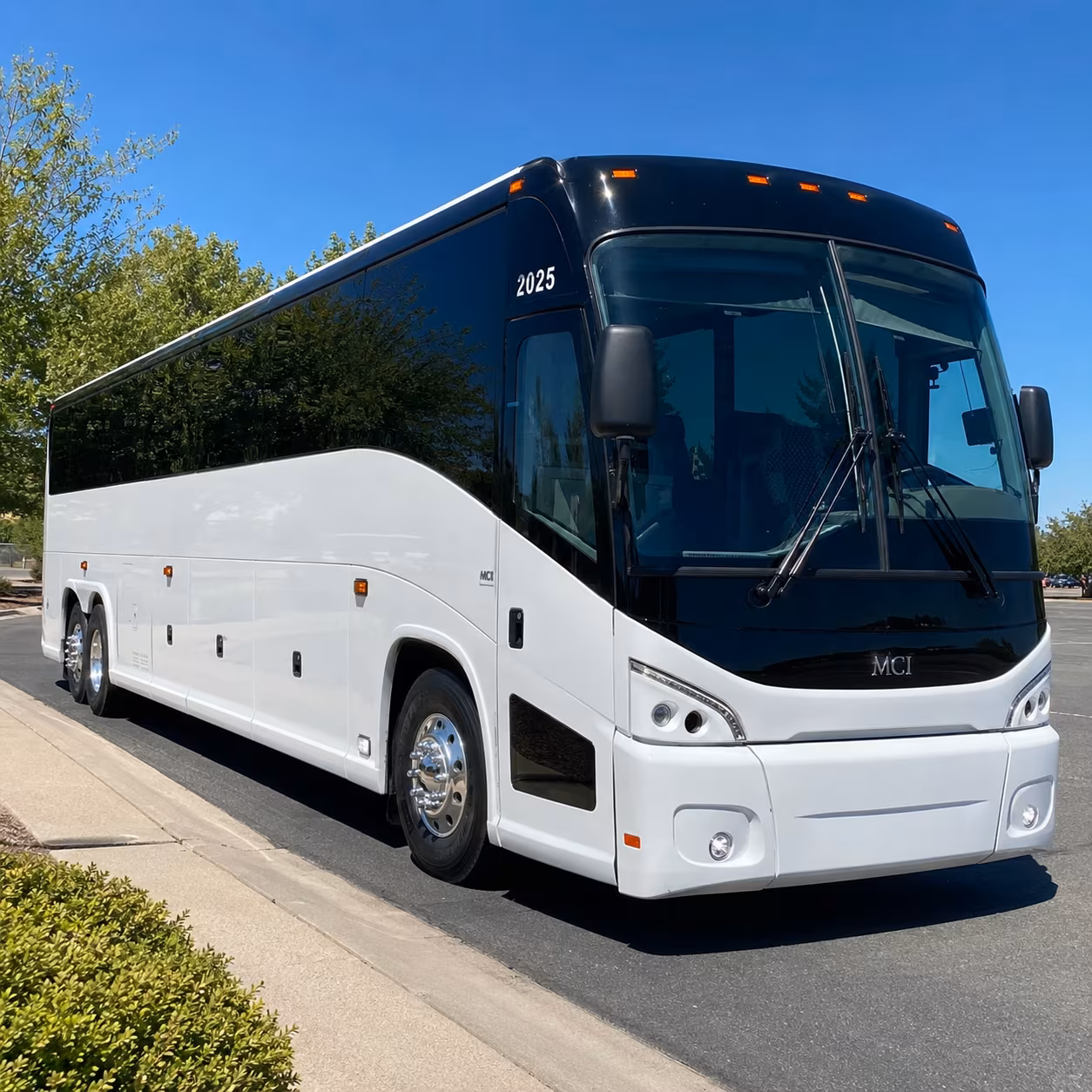 charter buses for large wedding guest groups in irving
